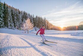 Skating Langlauf Verleih Waidring