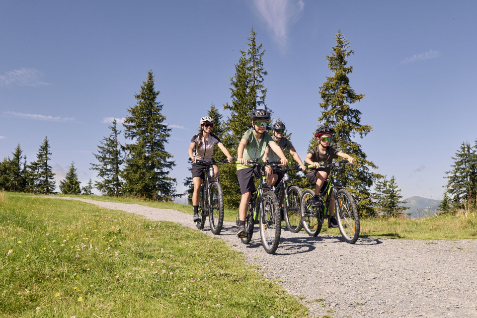 A group of four people ride mountain bikes on a gravel path through a picturesque, sunny landscape with tall green trees and a bright blue sky.