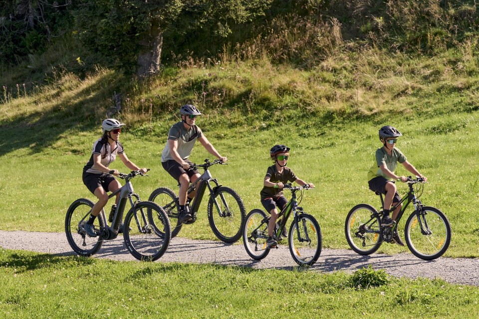 Eine vierköpfige Familie fährt mit dem Fahrrad auf einem sonnigen Weg durch üppig grünes Gras. Alle tragen Helme und vermitteln Freude und Teamgeist in einer ruhigen Landschaft.
